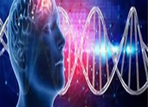 Mental Disorder Treatment